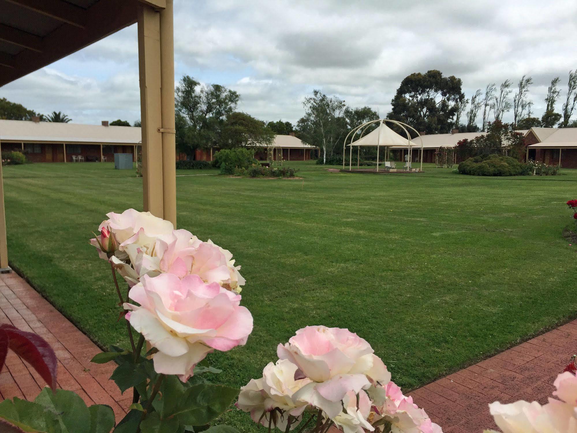 Coonawarra Units Motel Exterior photo